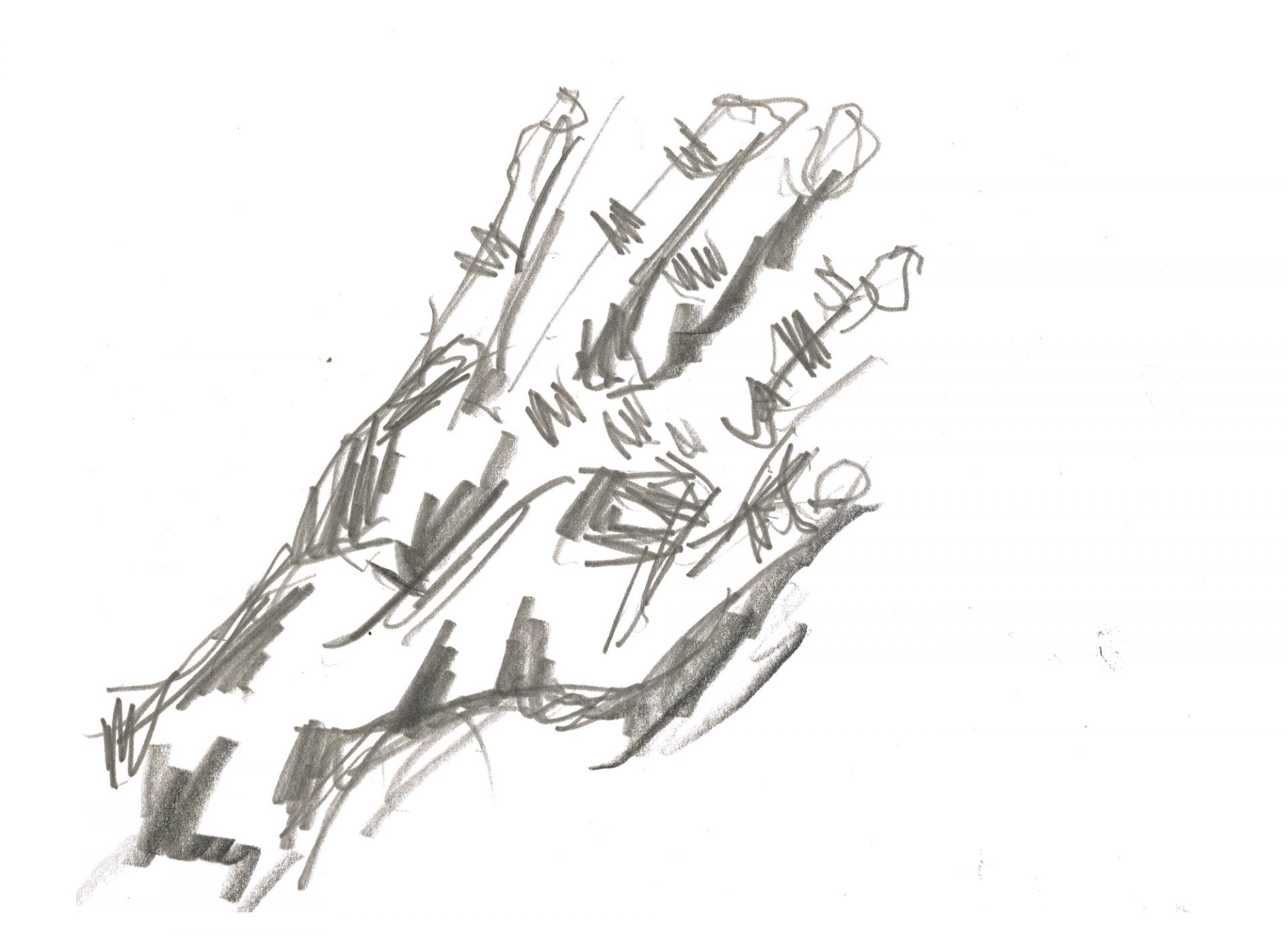 Hand Dynamics