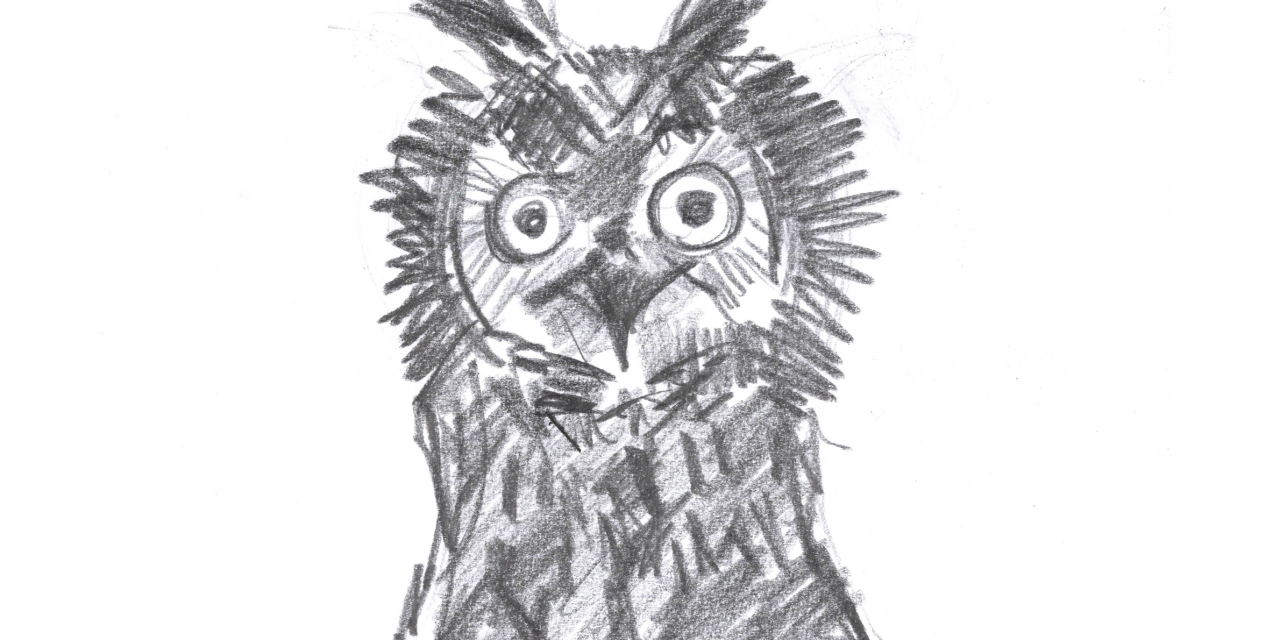 Pencil drawing of an Owl