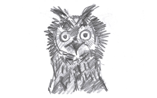 Pencil drawing of an Owl