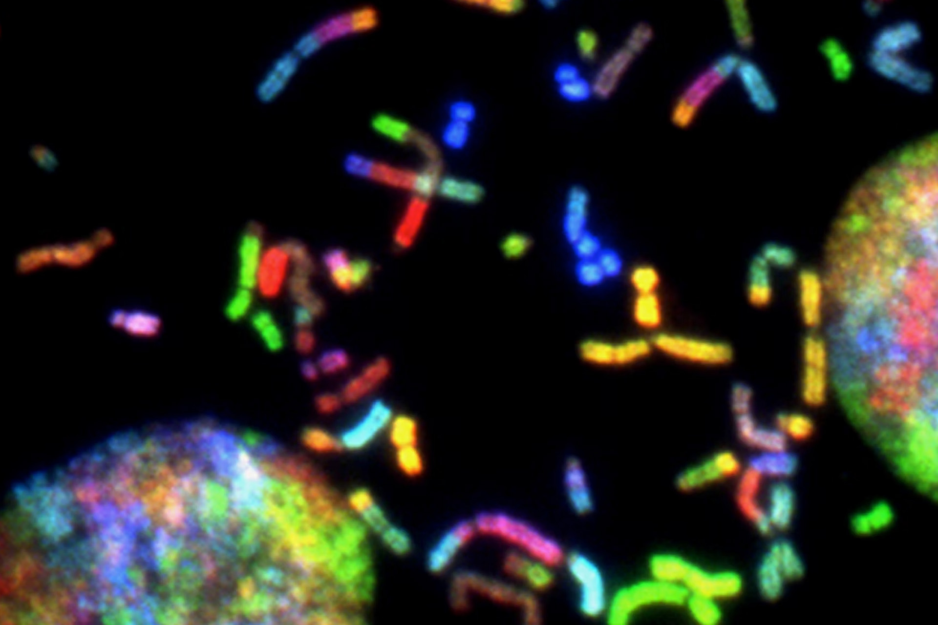 Coloured DNA