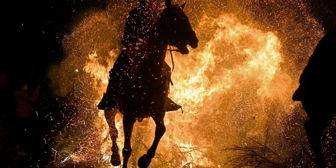Fire Horse