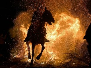 Year of the Fire Horse